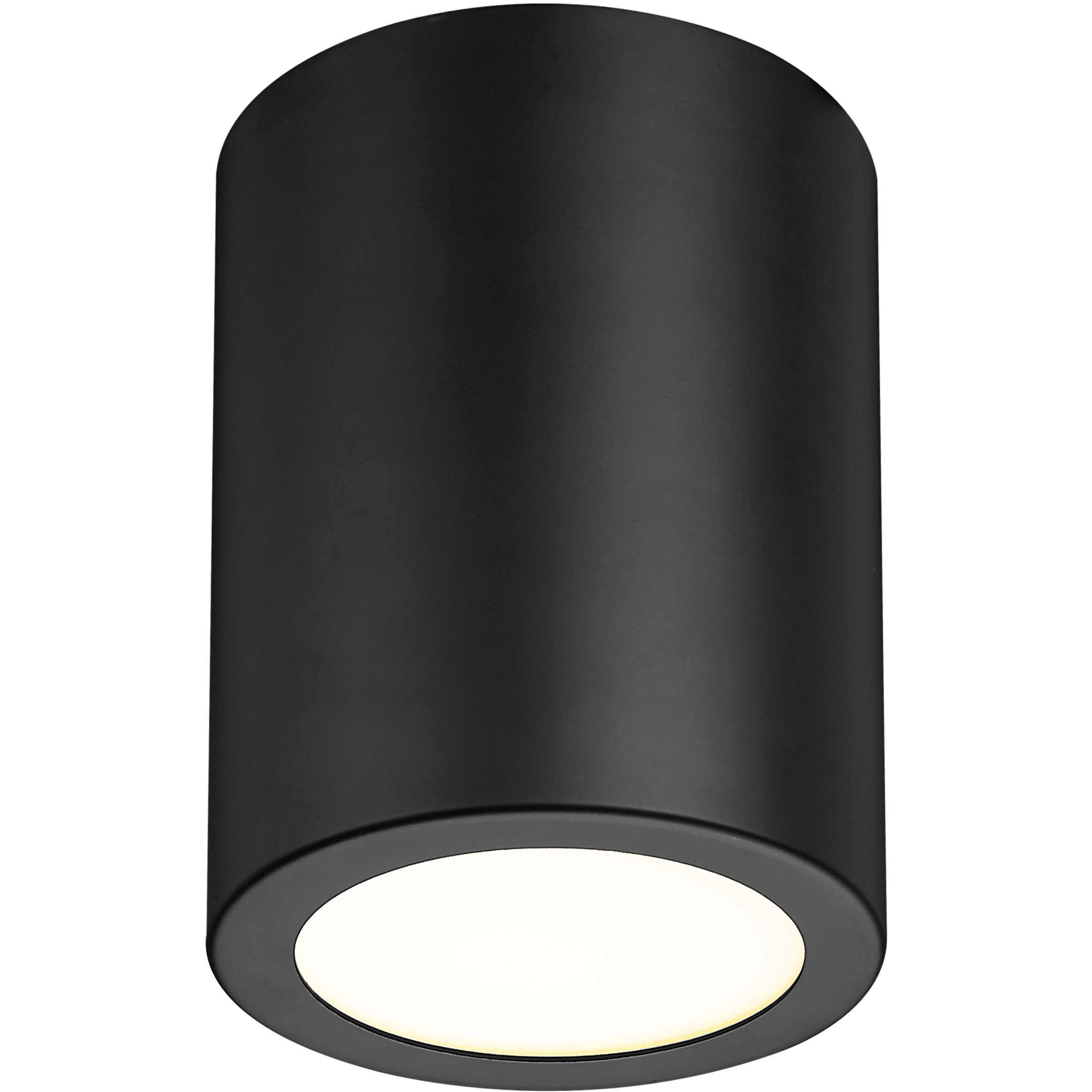 Harley 1 Light 5 inch Matte Black Flush Mount Ceiling Light