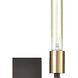 Congruency Sconce Wall Light