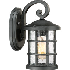 Crusade 1 Light 6.00 inch Outdoor Wall Light