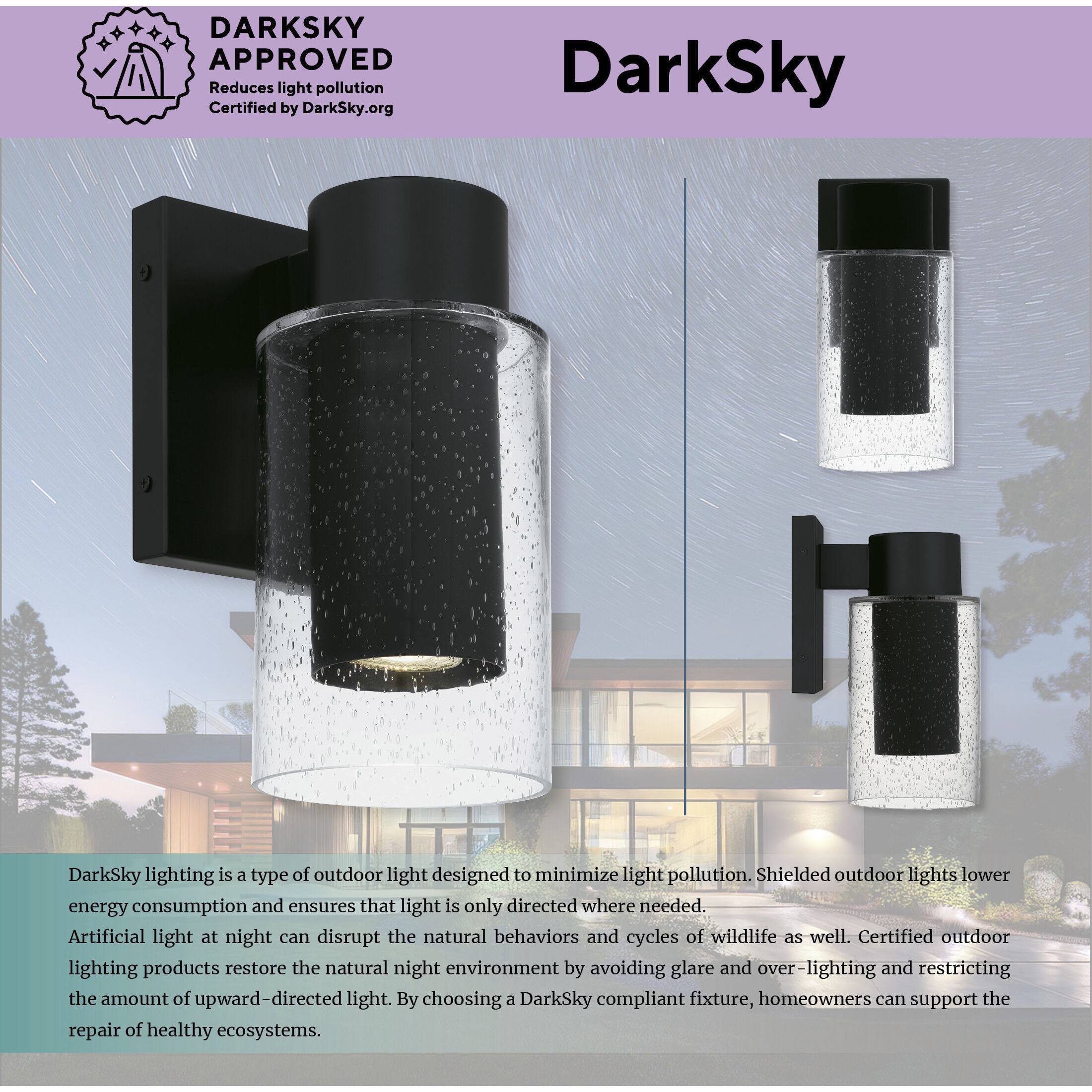 Sawyer LED 10 inch Matte Black Outdoor Wall Lantern, Small