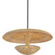 Draco Pendant Ceiling Light