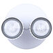 Rexton 2 Light White Track Lighting Ceiling Light