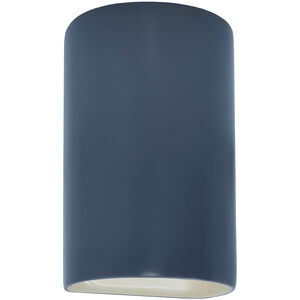 Ambiance LED 12.5 inch Midnight Sky Outdoor Wall Sconce