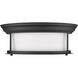 Sonna 2 Light 13.5 inch Matte Black Flush Mount Ceiling Light