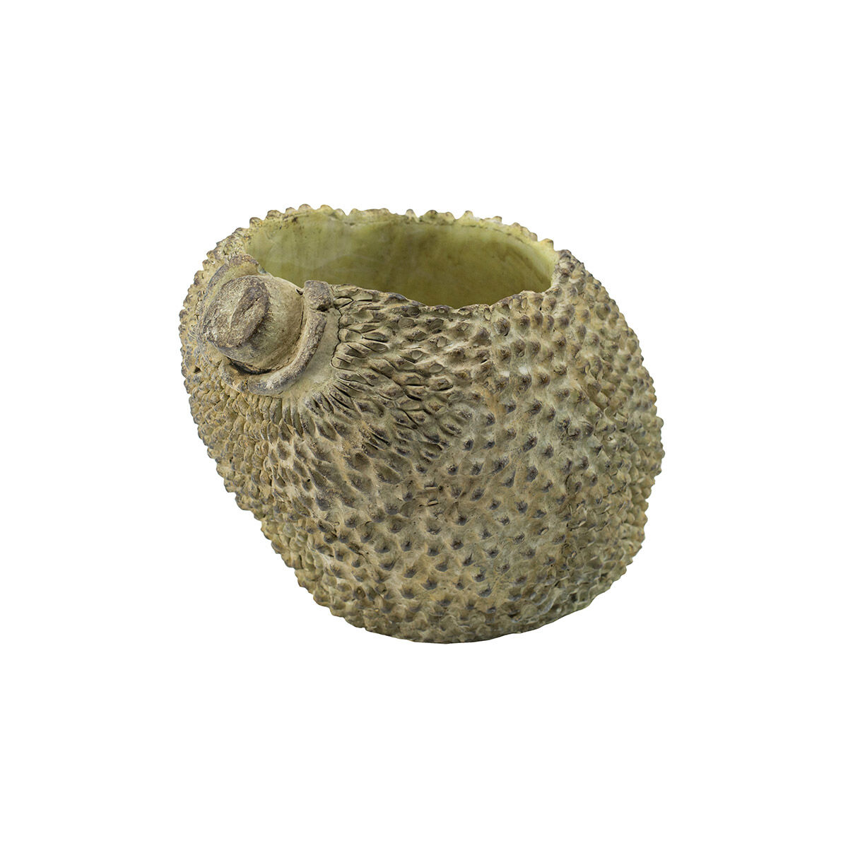 Jackfruit Light Green Outdoor Planter