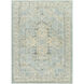 Avellino 35.43 X 23.62 inch Light Beige/Light Gray/Pale Blue/Gray/Denim/Tan Machine Woven Rug in 2 x 3