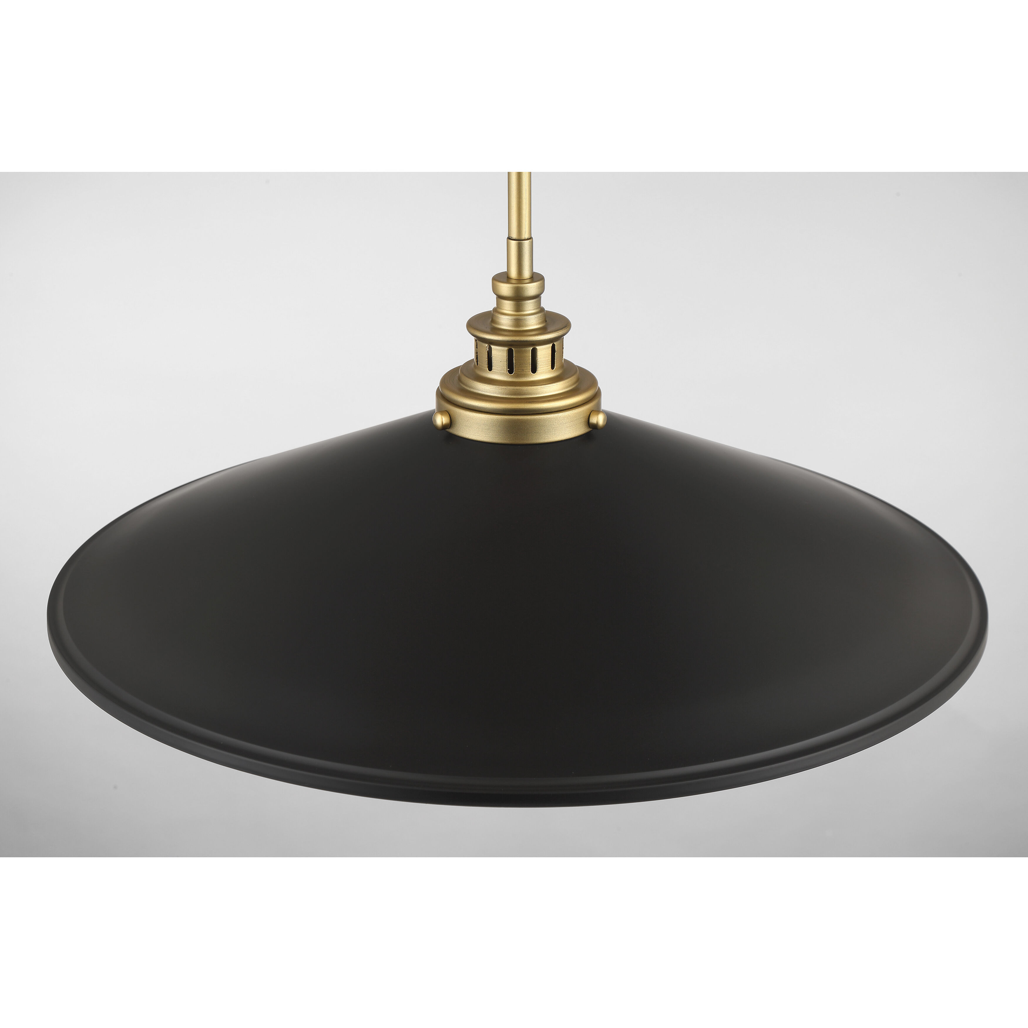 Segan 1 Light 20 inch Coal & Soft Brass (Painted) Pendant Ceiling Light, Outdoor