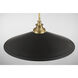 Segan 1 Light 20 inch Coal & Soft Brass (Painted) Pendant Ceiling Light, Outdoor