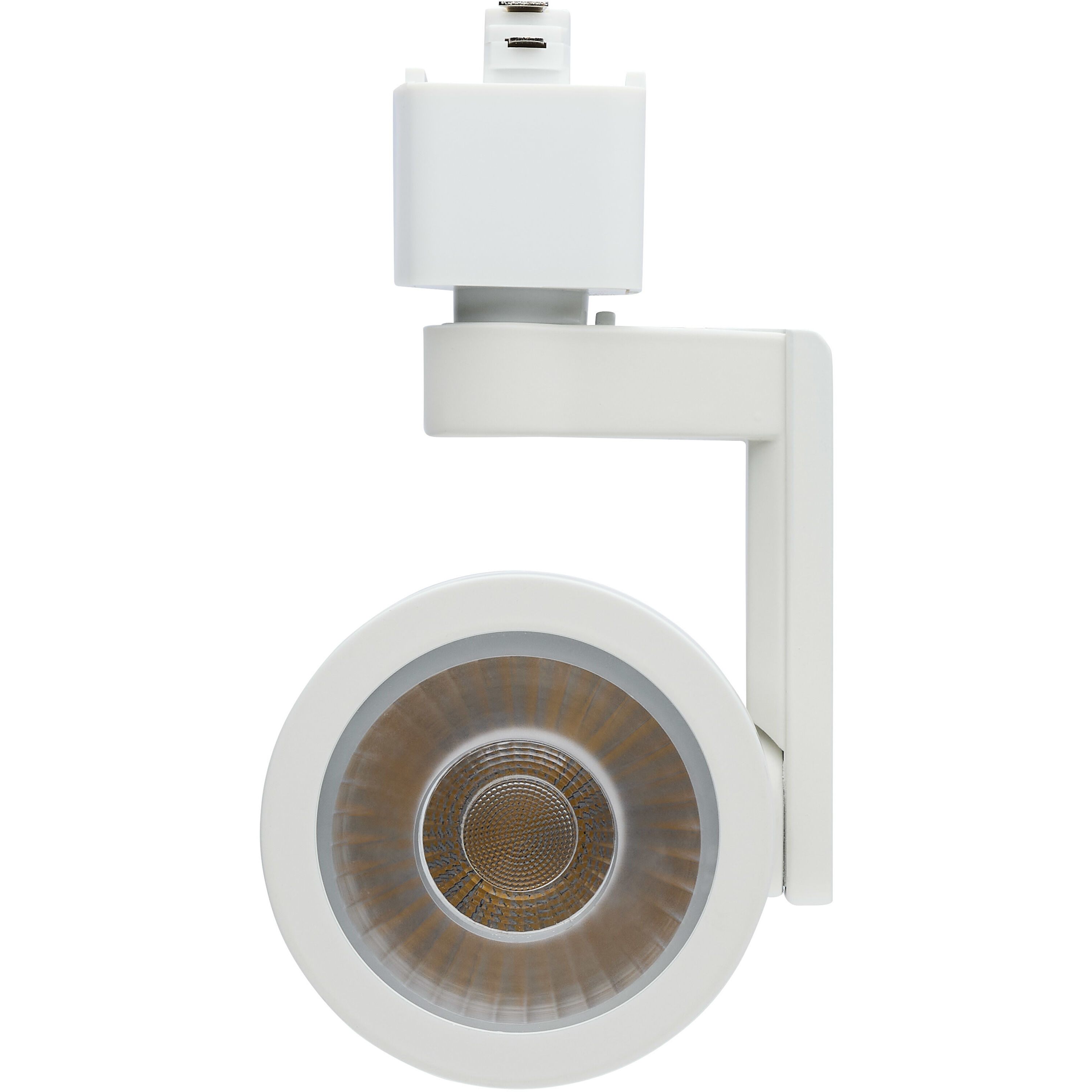 Lantern 1 Light 120 White Track Lighting Ceiling Light