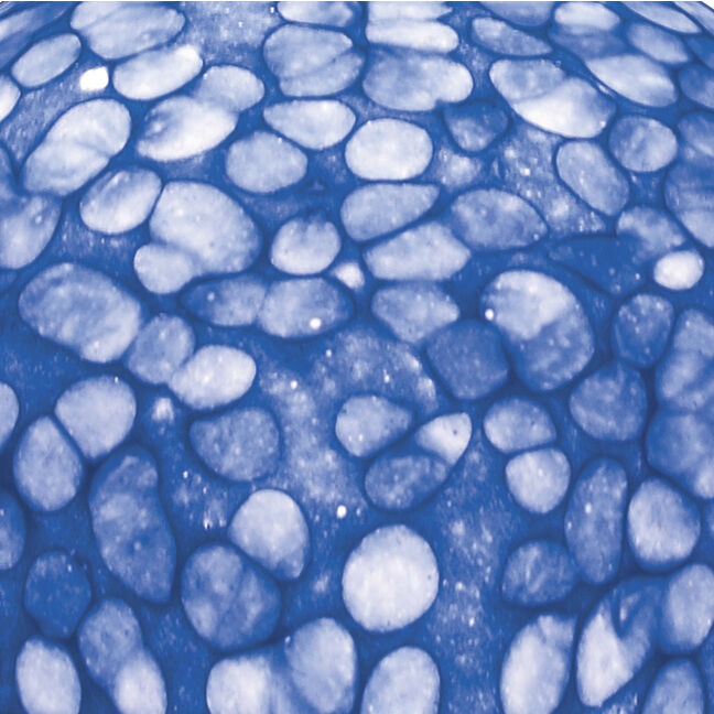 Cira 1 Light 6 inch Satin Nickel Mini Pendant Ceiling Light