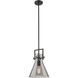 Newton Cone 1 Light 10 inch Matte Black Pendant Ceiling Light in Plated Smoke Glass