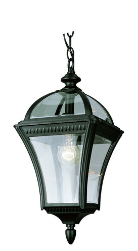 Washington 1 Light 11 inch Black Outdoor Hanging Lantern
