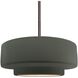 Radiance LED 14.5 inch Pewter Green and Brushed Nickel Pendant Ceiling Light