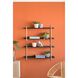 Two Tiers 36.2 X 20.5 X 9.8 inch Black Shelf