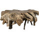 Teak Root Clear Coat Semi - Multilayered Coffee Table