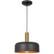 Orsa LED 11.5 inch Black and Brushed Brass Pendant Ceiling Light