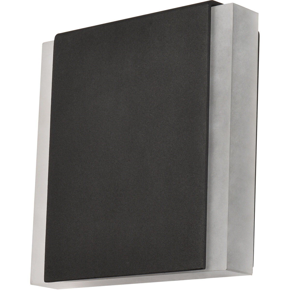 Raine Outdoor Wall Light in Black