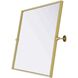 Amoura 32 X 24 inch Brass Mirror