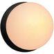 Ambiance LED 4.5 inch Carbon Matte Black Wall Sconce Wall Light