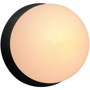 Ambiance LED 4.5 inch Carbon Matte Black Wall Sconce Wall Light