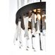 Serephina 6 Light 12 inch Black Pendant Ceiling Light