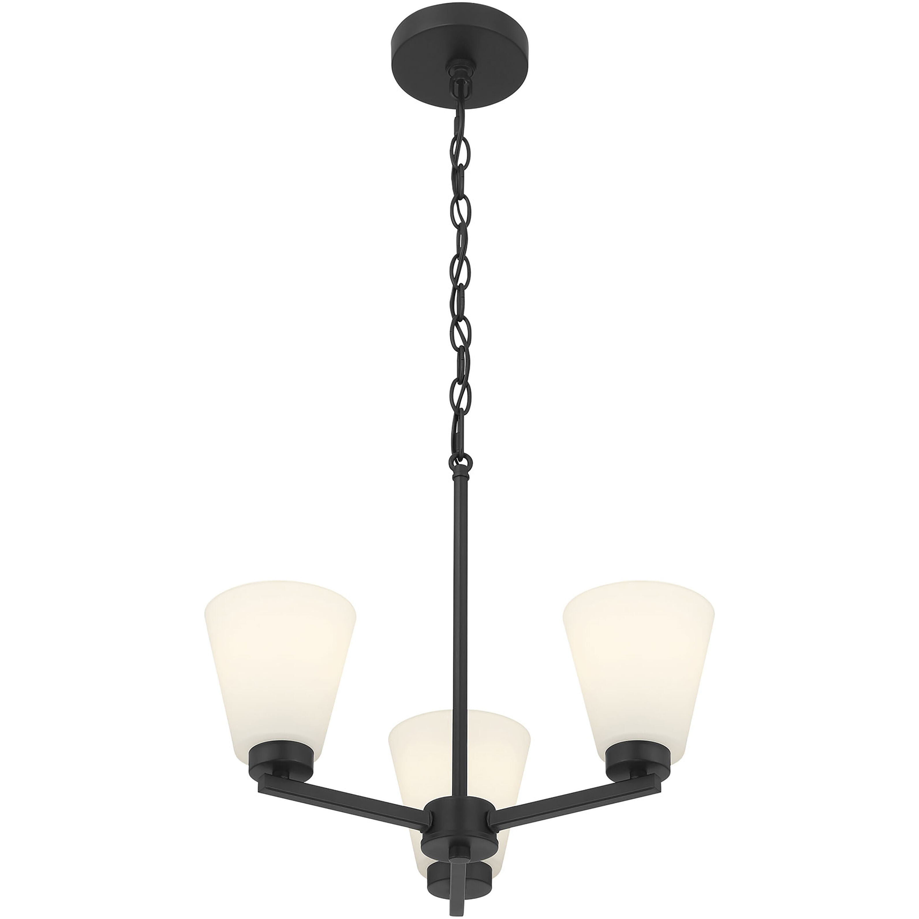 Strayhan 3 Light 18 inch Matte Black Chandelier Ceiling Light