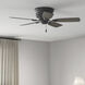 Low Profile 42 inch Matte Black with Matte Black/Greyed Walnut Blades Ceiling Fan