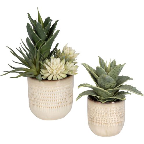 Seaside Succulents Green with Neutral Tan Glaze Succulents, Set of 2