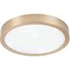 Argyle LED 12 inch Champagne Gold Flush Mount Ceiling Light