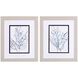 Florals Collection Blue Framed Art