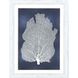 Waterside Collection Blue Framed Art