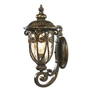 Lupe 1 Light 18 inch Hazelnut Bronze with Champagne Outdoor Sconce