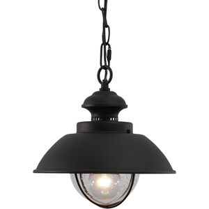 Harwich 1 Light 10.00 inch Outdoor Pendant/Chandelier