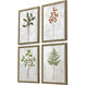 Botanical Green and Rust Framed Art