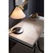 Mosquito Ivory Desk