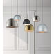 Palla LED 16 inch Satin Nickel/Black Single Pendant Ceiling Light in Black/Satin Brass