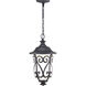 Leawood LED LED 10 inch Textured Black Outdoor Hanging Lantern, Design Series