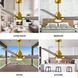 Atlas Alessandra-LK 56 inch Brushed Brass with Gray Ash Blades Indoor/Outdoor Ceiling Fan