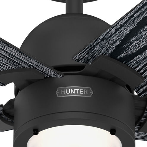 Erling 52 inch Matte Black with Salted Black/Matte Black Blades Ceiling Fan
