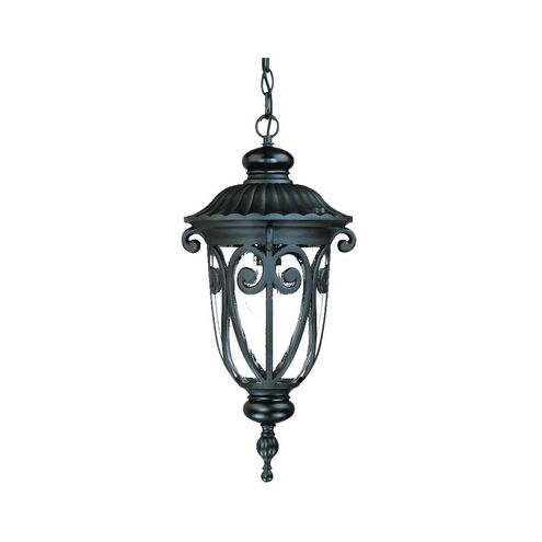 Naples 1 Light 9 inch Matte Black Exterior Hanging Lantern