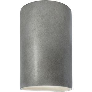 Ambiance Collection LED 12.5 inch Antique Silver Outdoor Wall Sconce