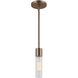 Fusion Collection - Rimini Family 1 Light 2 inch Brushed Brass Pendant Ceiling Light, EVOLV