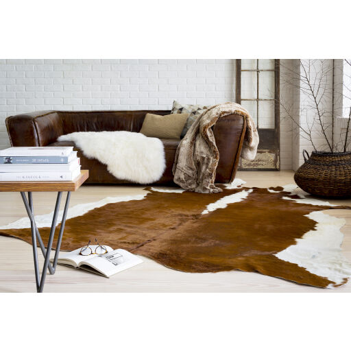 Shelby 60 X 60 inch Brown Rug, Square