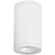 Tube Arch LED 6.38 inch White Outdoor Flush in Flood, 85, 2700K