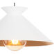 Viggo 1 Light 16 inch White Pendant Ceiling Light, Small