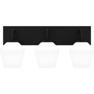 Nielson 3 Light 21.25 inch Bathroom Vanity Light