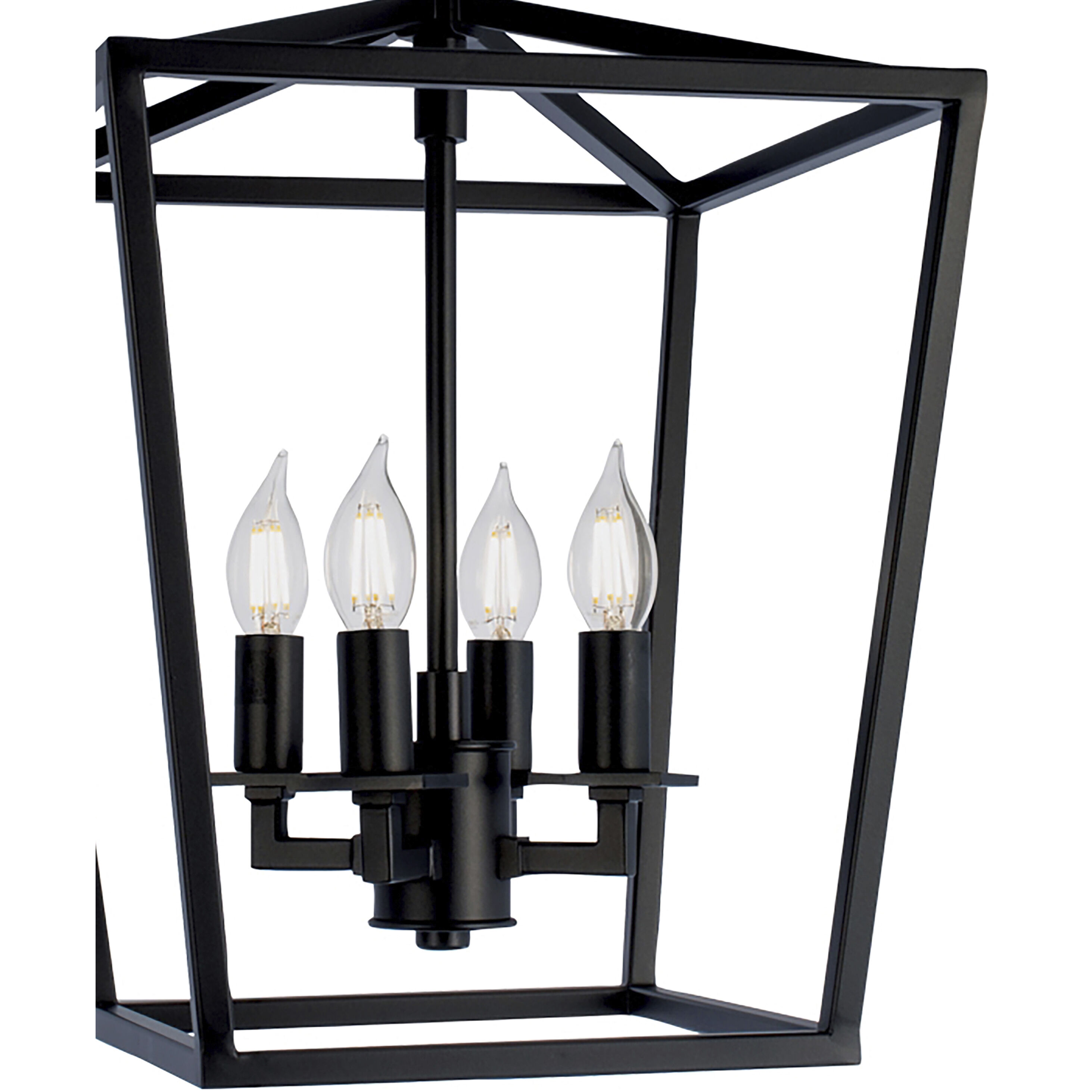 Cage 4 Light 12 inch Matte Black Pendant Ceiling Light