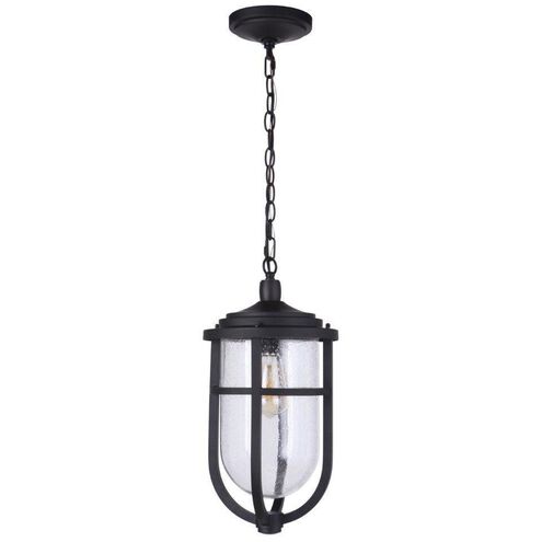 Voyage 1 Light 10 inch Midnight Outdoor Pendant