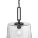 Diamara 1 Light 13.75 inch Matte Black Pendant Ceiling Light