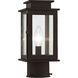 Princeton 1 Light 11 inch Bronze Outdoor Post Top Lantern
